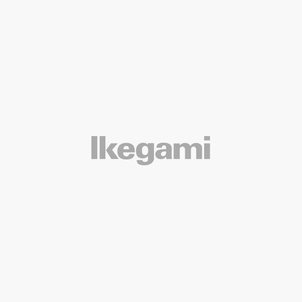 Ikegami