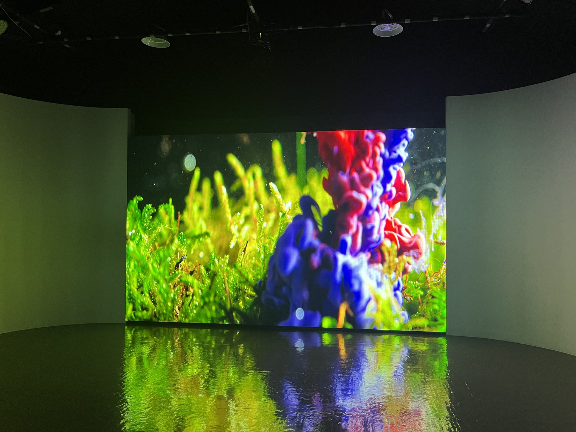 스튜디오 이미지 3